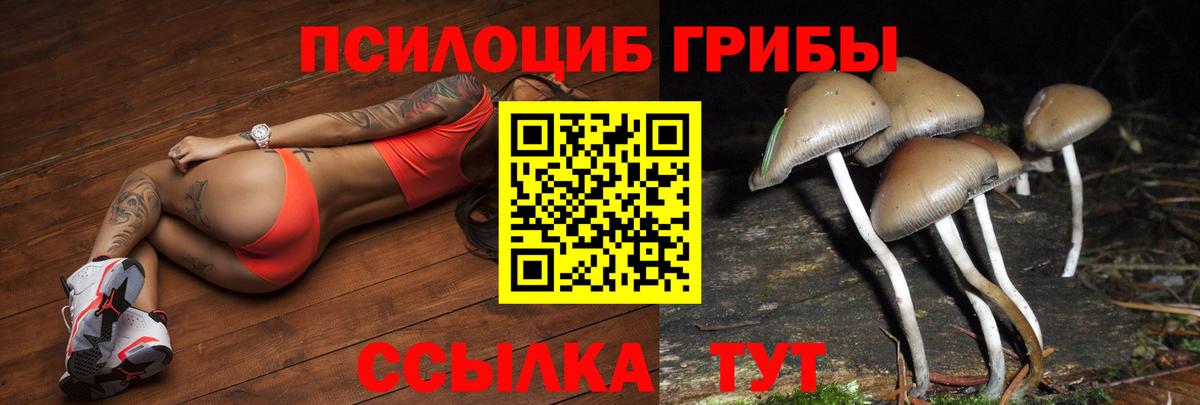 Псилоцибиновые грибы мицелий  Вход с VPN  Псилоцибиновые грибы ЛСД  Петрозаводск 