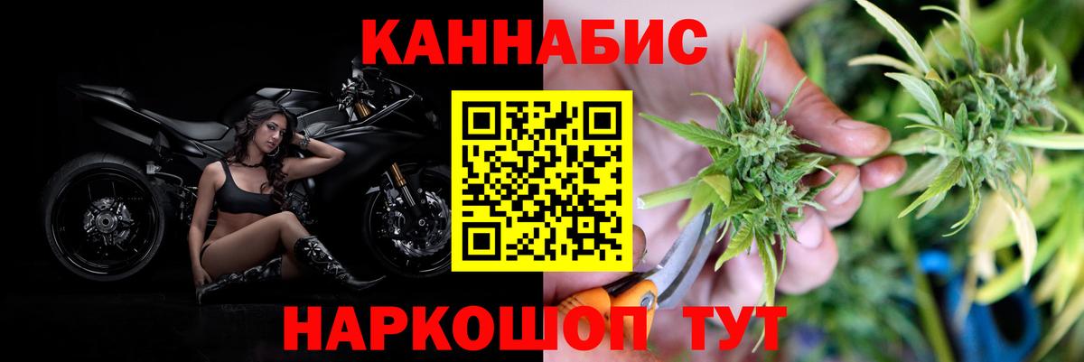 Конопля OG Kush Петрозаводск